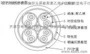 DJYVP-300/500　屏蔽电缆结构图