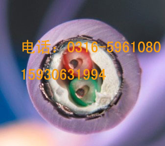 现货供应-电气设备用电缆6XV1830-0EH10-电气设备用电缆6XV1830-0EH10 电气设备用电缆6XV1830-0EH10