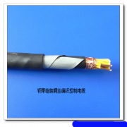阻燃电缆ZRA-BVP价格 ZRHYAP22 通信电缆